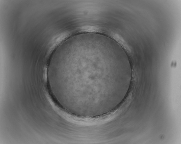 X0000091950014200709061250