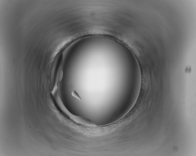 X0000091950015200709061250