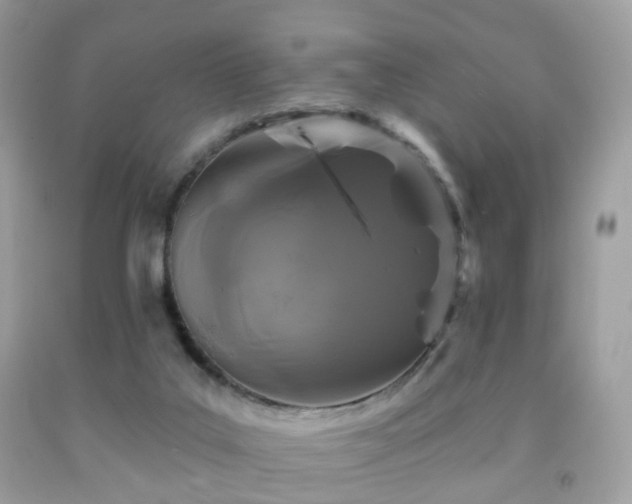 X0000091950019200709061250