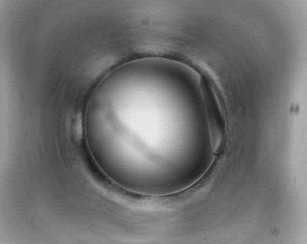 X0000091950020200709061250