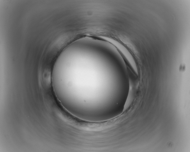 X0000091950021200709061250