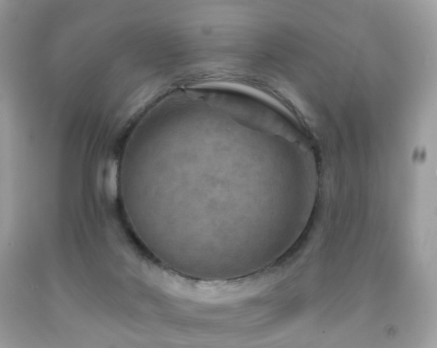 X0000091950022200709061250