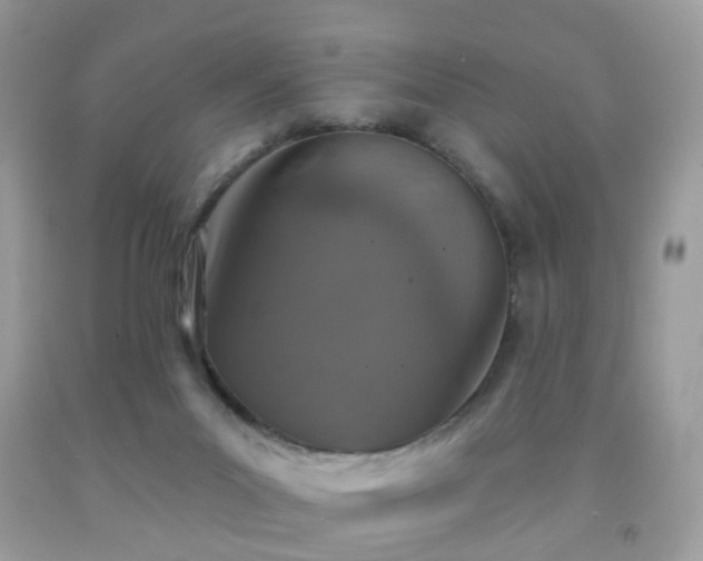 X0000091950023200709061250