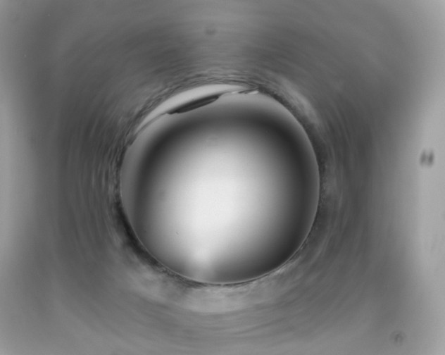 X0000091950025200709061250