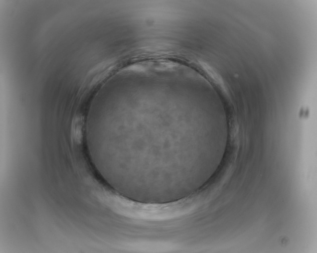 X0000091950026200709061250