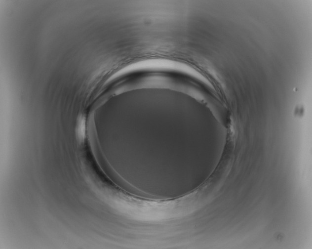 X0000091950027200709061250
