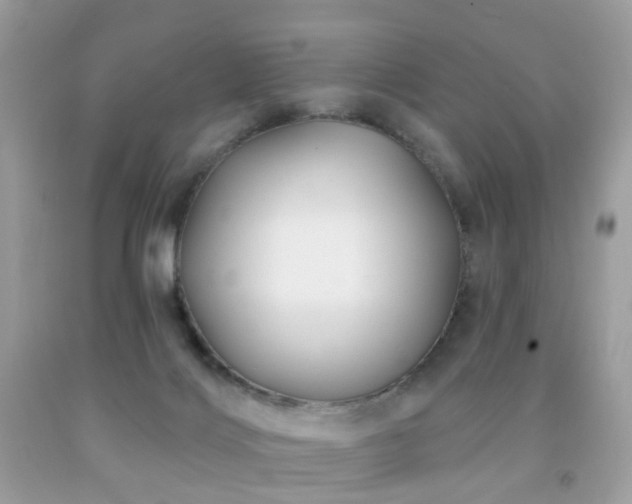 X0000091950028200709061250