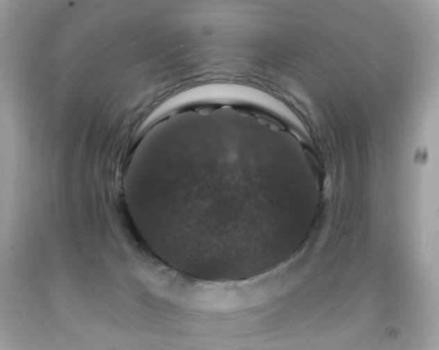 X0000091950029200709061250