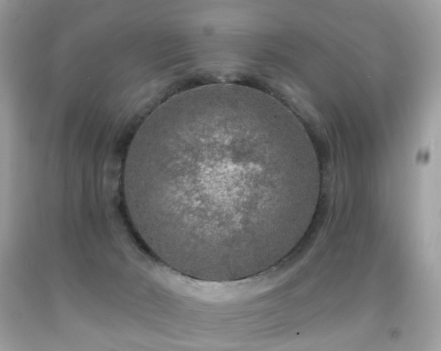 X0000091950030200709061250