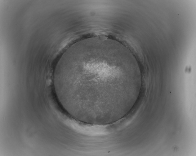 X0000091950032200709061250