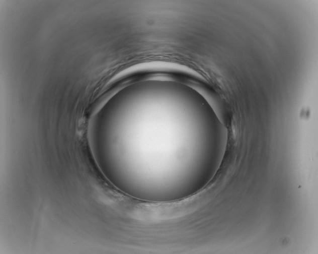 X0000091950033200709061250