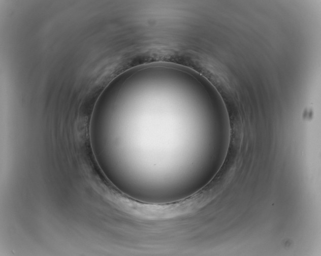 X0000091950034200709061250