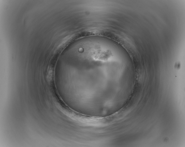X0000091950036200709061250