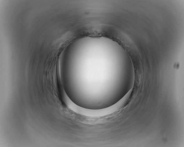 X0000091950037200709061250
