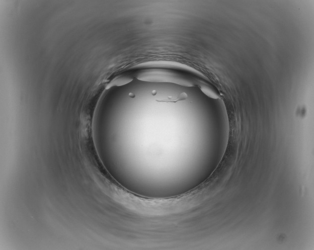 X0000091950038200709061250