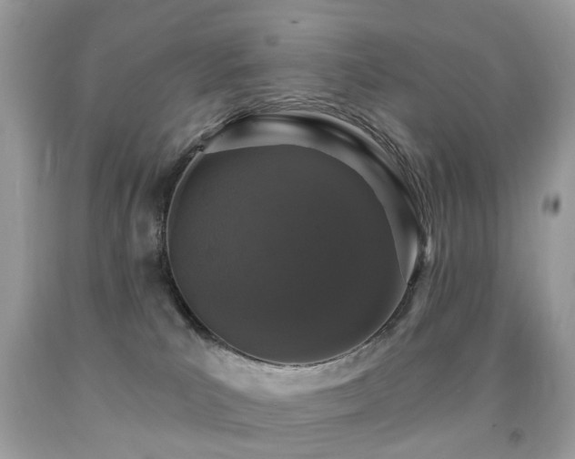 X0000091950039200709061250