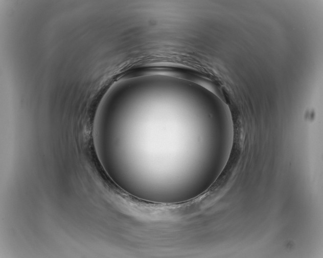 X0000091950040200709061250