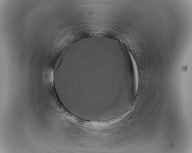 X0000091950041200709061250