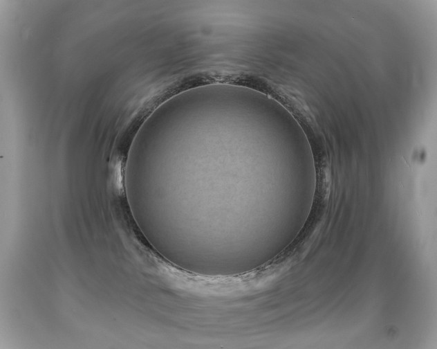 X0000091950042200709061250