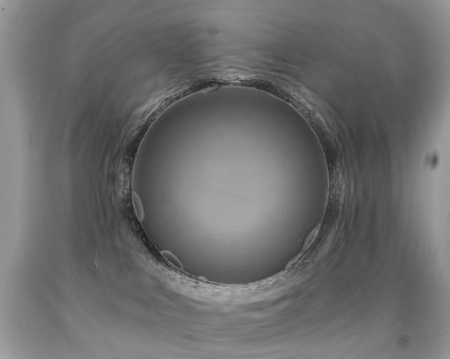 X0000091950043200709061250
