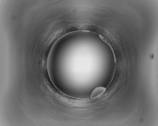 X0000091950044200709061250