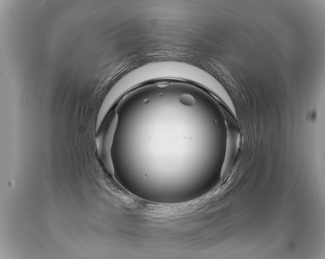 X0000091950045200709061250