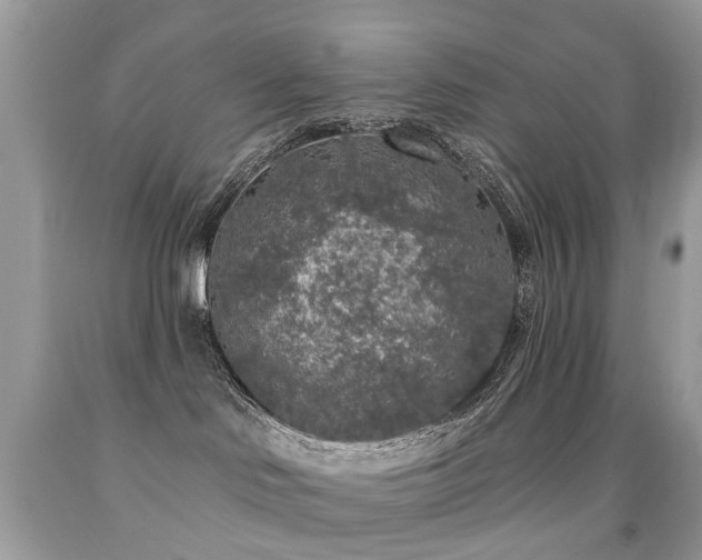 X0000091950046200709061250