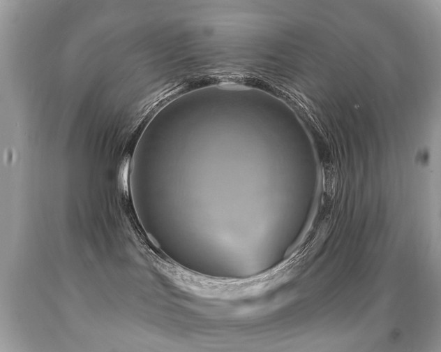 X0000091950047200709061250