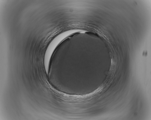 X0000091950048200709061250