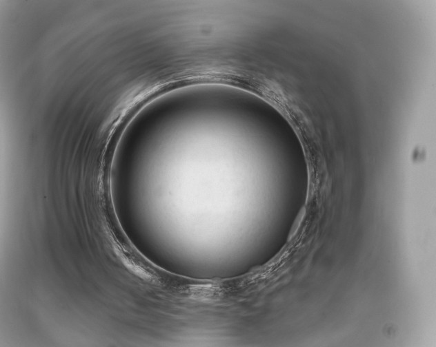 X0000091950050200709061249