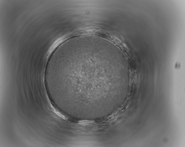 X0000091950051200709061249