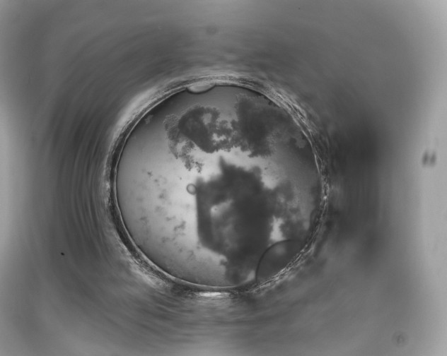 X0000091950053200709061249