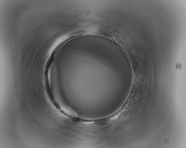 X0000091950054200709061249