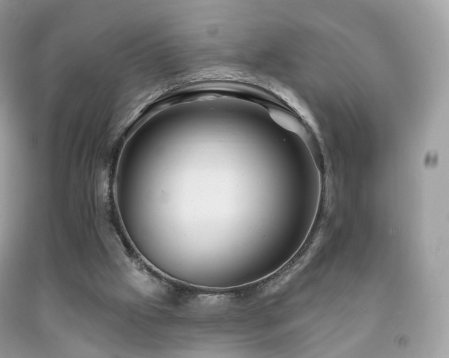 X0000091950057200709061249