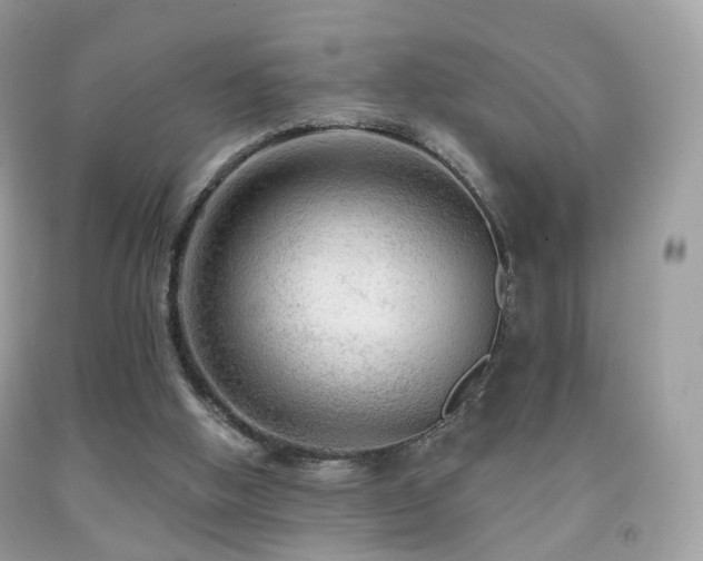 X0000091950058200709061249