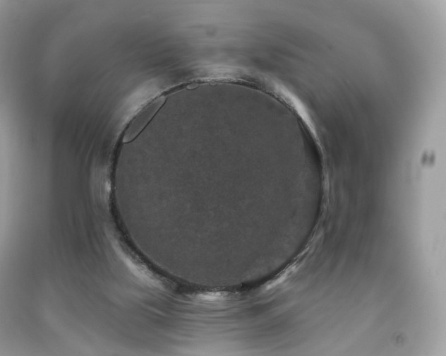 X0000091950059200709061249