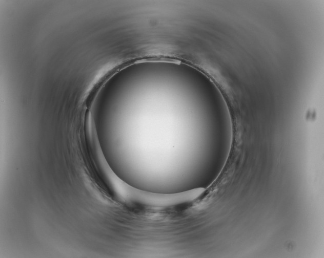 X0000091950060200709061249