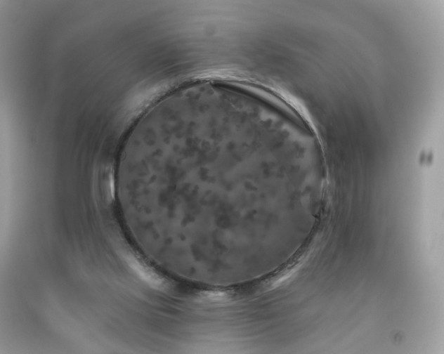 X0000091950061200709061249