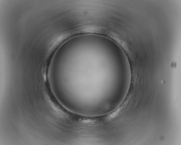 X0000091950062200709061249