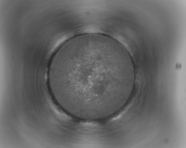 X0000091950063200709061249