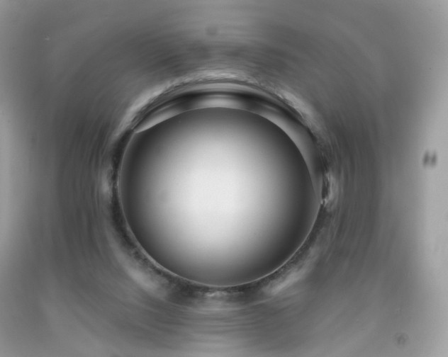X0000091950064200709061249