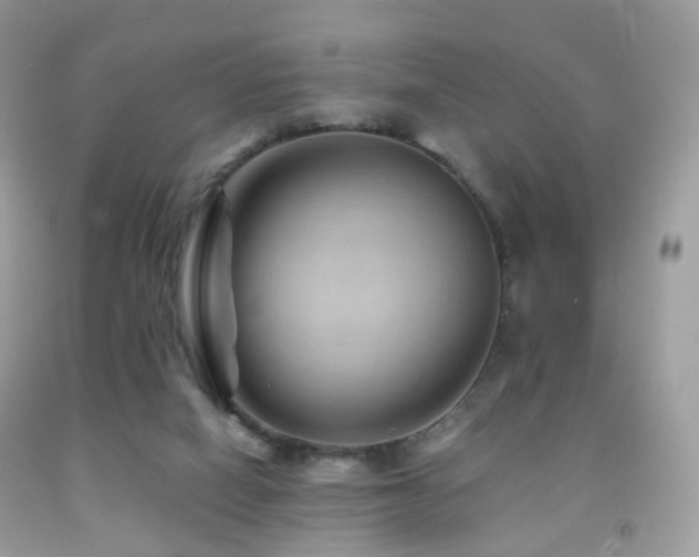 X0000091950066200709061249