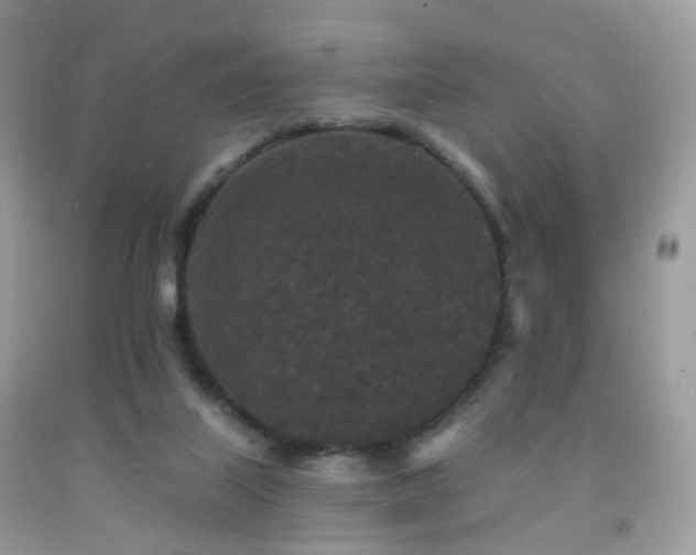 X0000091950067200709061249