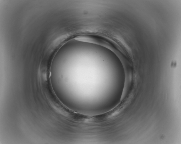 X0000091950068200709061249