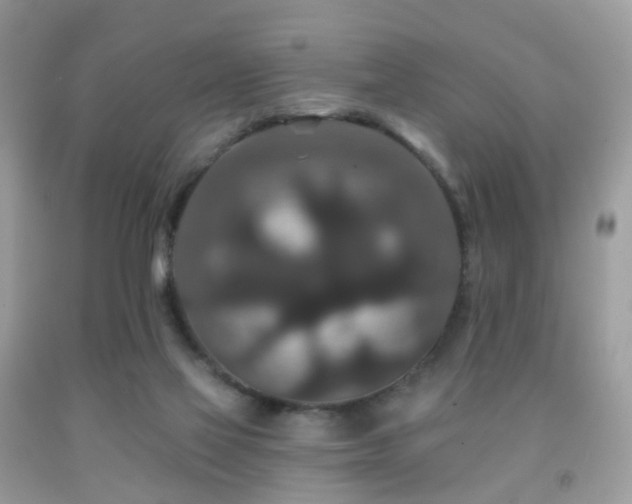 X0000091950069200709061249