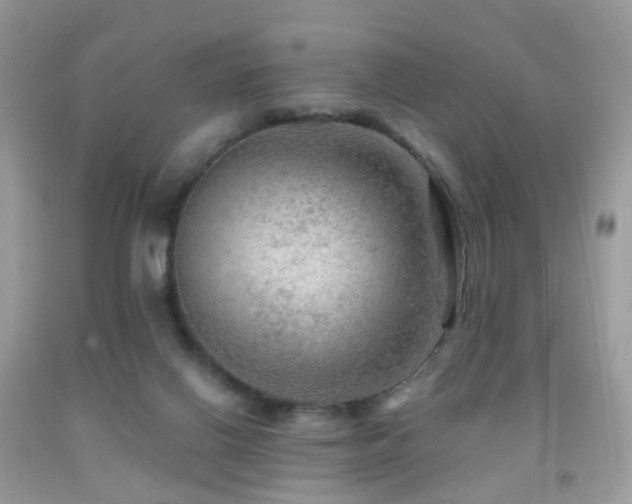 X0000091950070200709061249