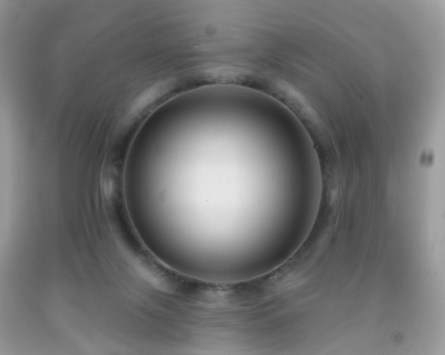 X0000091950071200709061249