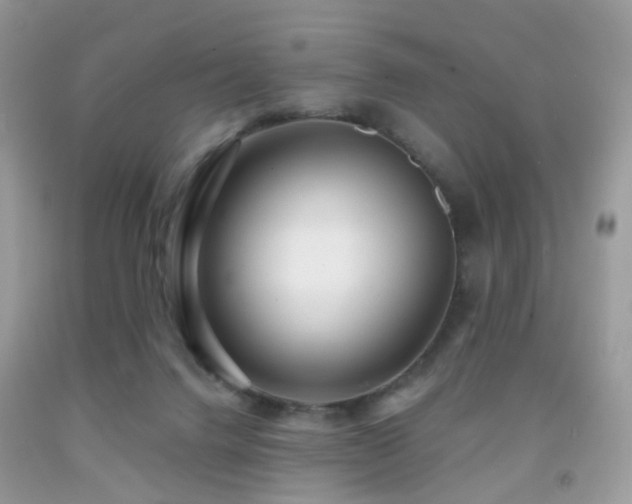 X0000091950072200709061249
