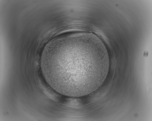 X0000091950073200709061249