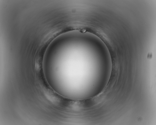 X0000091950074200709061249